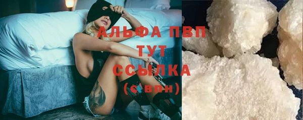 молекула духа Карпинск