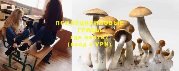 Альфа ПВП Касимов