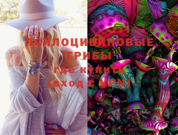 стафф Киреевск