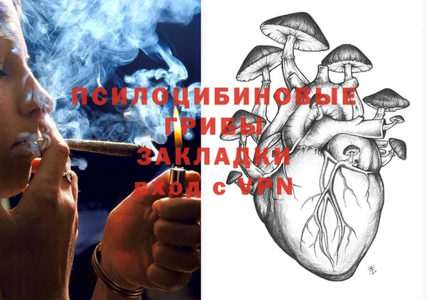 стафф Киреевск
