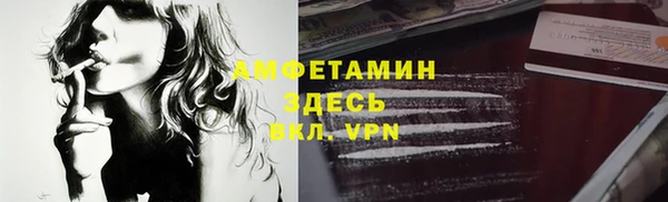 молекула духа Карпинск