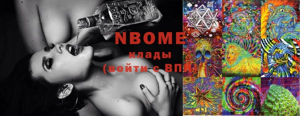 прущие грибы Карталы