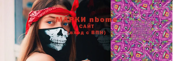 шишки Киренск