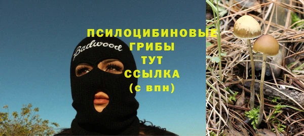 хмурый Кинешма
