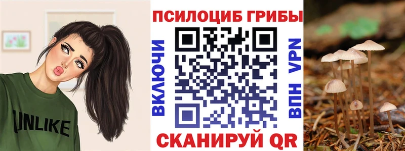 Псилоцибиновые грибы Psilocybe  Купить где  Гатчина 
